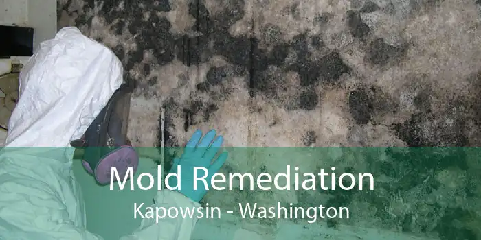 Mold Remediation Kapowsin - Washington