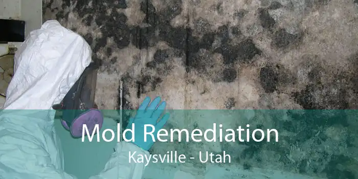 Mold Remediation Kaysville - Utah