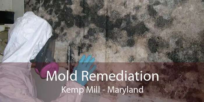 Mold Remediation Kemp Mill - Maryland