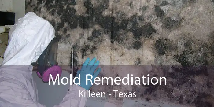 Mold Remediation Killeen - Texas