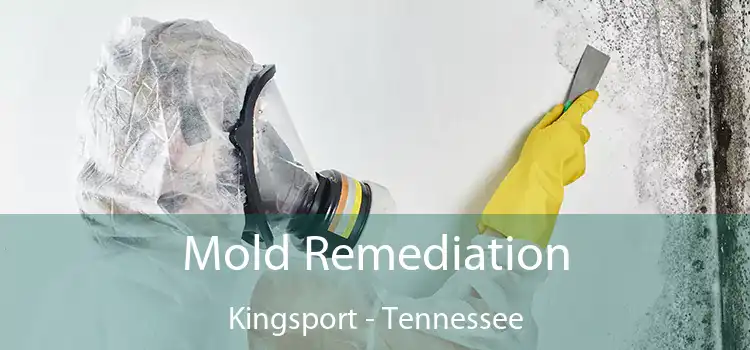 Mold Remediation Kingsport - Tennessee