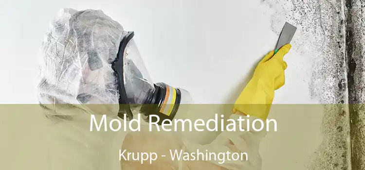 Mold Remediation Krupp - Washington