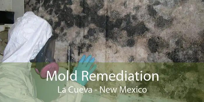 Mold Remediation La Cueva - New Mexico
