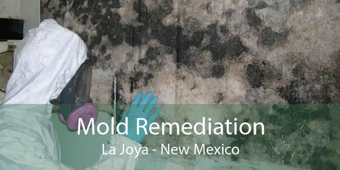 Mold Remediation La Joya - New Mexico