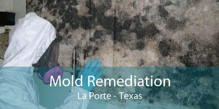 Mold Remediation La Porte - Texas