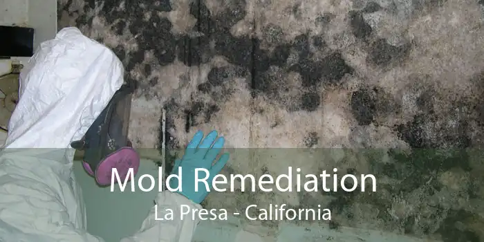 Mold Remediation La Presa - California