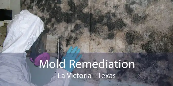 Mold Remediation La Victoria - Texas