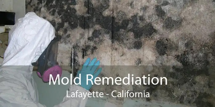 Mold Remediation Lafayette - California