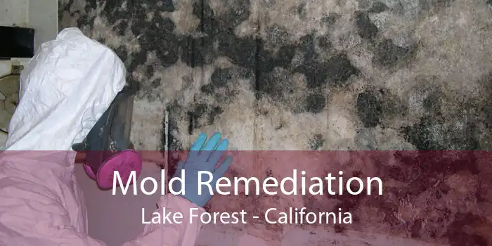 Mold Remediation Lake Forest - California