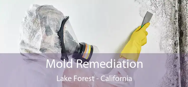 Mold Remediation Lake Forest - California