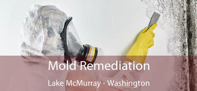 Mold Remediation Lake McMurray - Washington