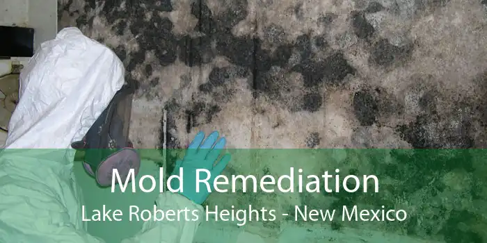 Mold Remediation Lake Roberts Heights - New Mexico