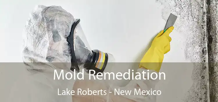 Mold Remediation Lake Roberts - New Mexico