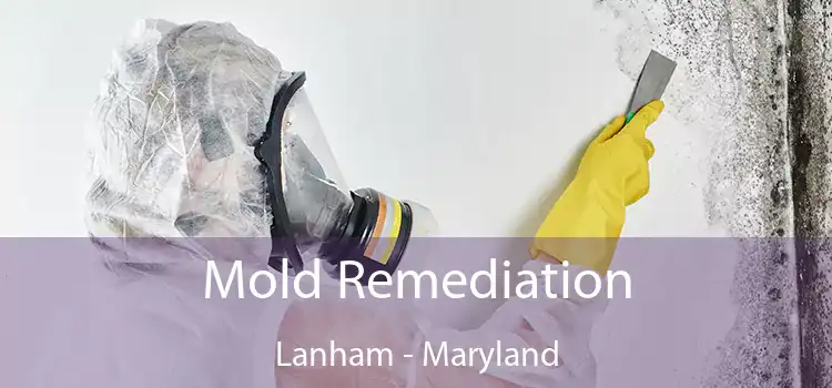 Mold Remediation Lanham - Maryland