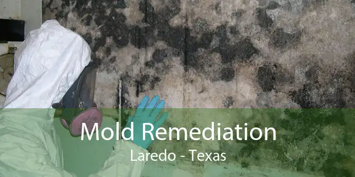 Mold Remediation Laredo - Texas