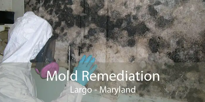 Mold Remediation Largo - Maryland