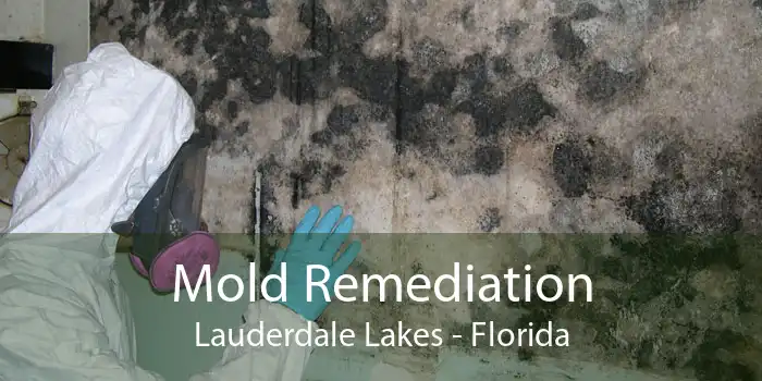 Mold Remediation Lauderdale Lakes - Florida