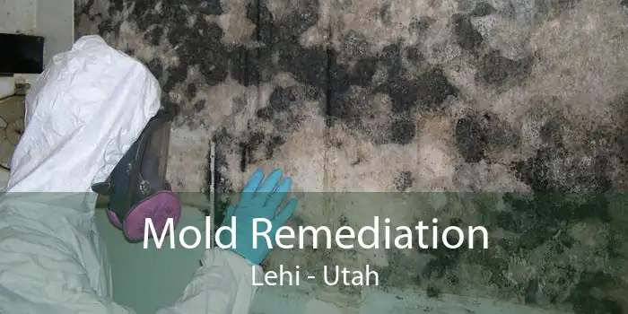 Mold Remediation Lehi - Utah