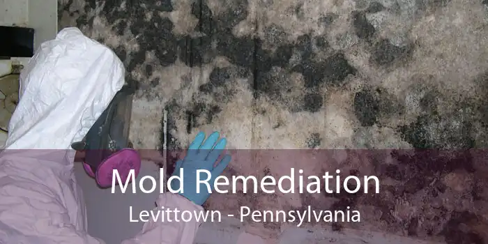 Mold Remediation Levittown - Pennsylvania