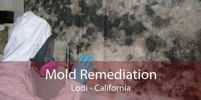 Mold Remediation Lodi - California