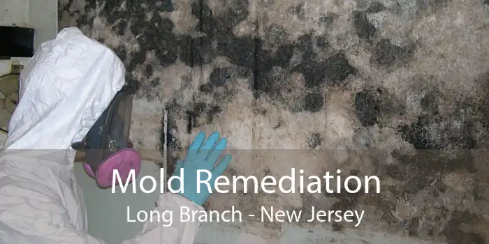 Mold Remediation Long Branch - New Jersey