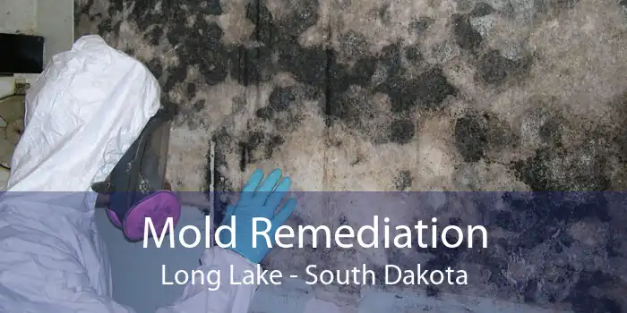 Mold Remediation Long Lake - South Dakota