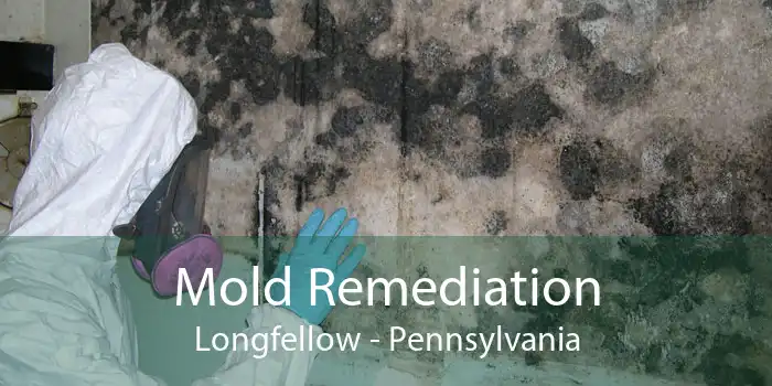 Mold Remediation Longfellow - Pennsylvania