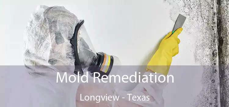 Mold Remediation Longview - Texas