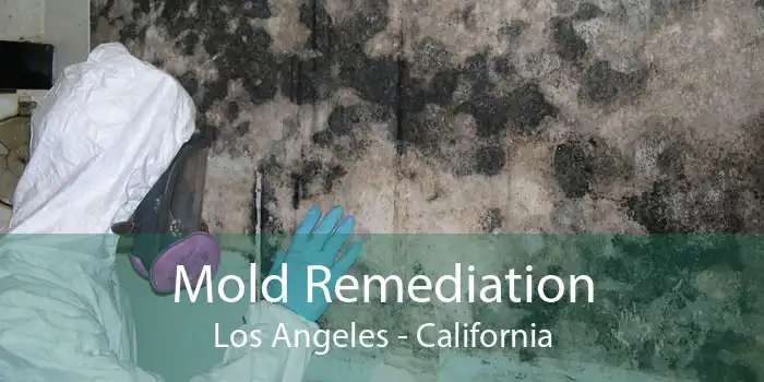 Mold Remediation Los Angeles - California