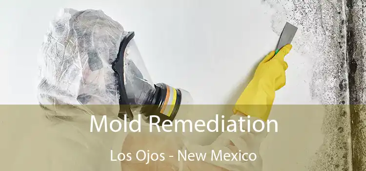 Mold Remediation Los Ojos - New Mexico