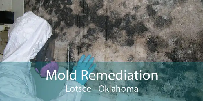 Mold Remediation Lotsee - Oklahoma