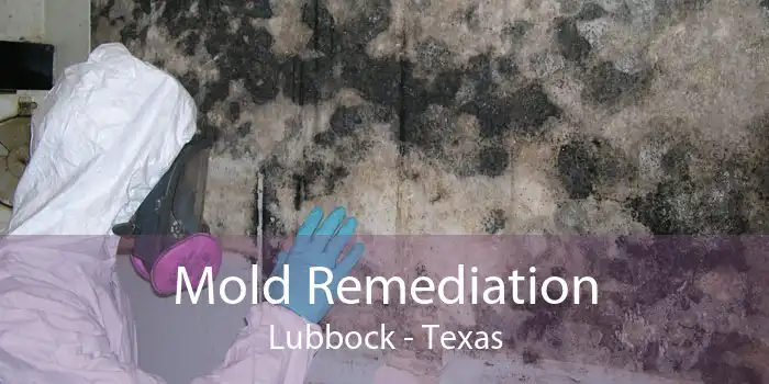 Mold Remediation Lubbock - Texas
