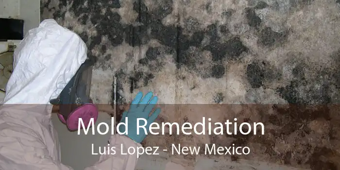 Mold Remediation Luis Lopez - New Mexico