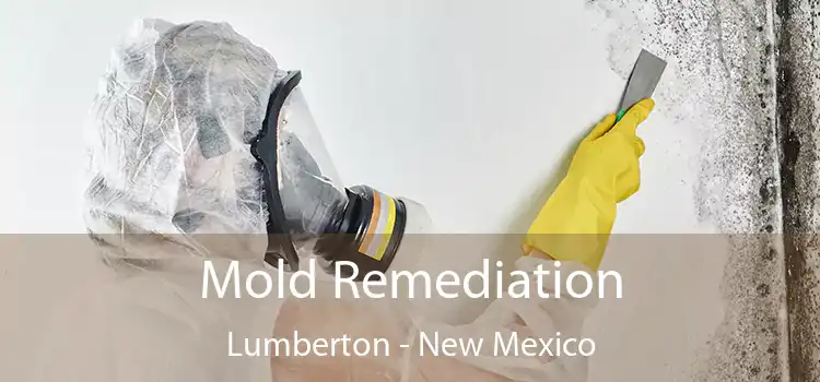 Mold Remediation Lumberton - New Mexico