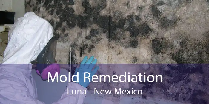 Mold Remediation Luna - New Mexico
