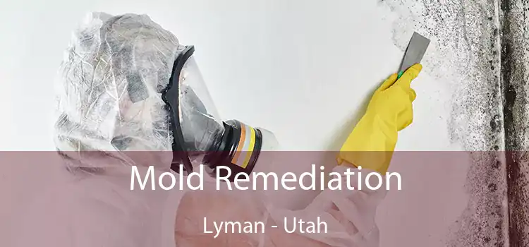 Mold Remediation Lyman - Utah