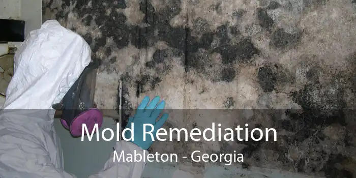 Mold Remediation Mableton - Georgia