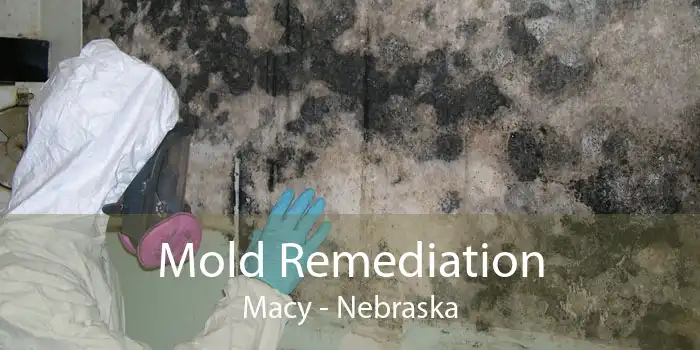 Mold Remediation Macy - Nebraska