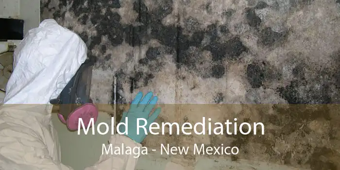 Mold Remediation Malaga - New Mexico
