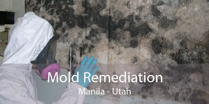Mold Remediation Manila - Utah