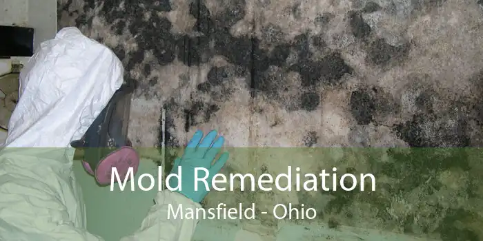 Mold Remediation Mansfield - Ohio