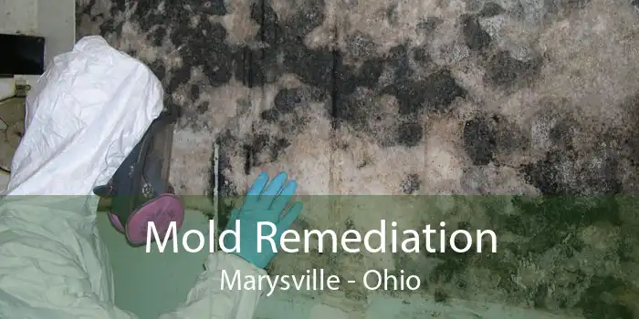 Mold Remediation Marysville - Ohio