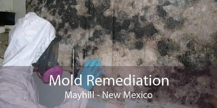 Mold Remediation Mayhill - New Mexico