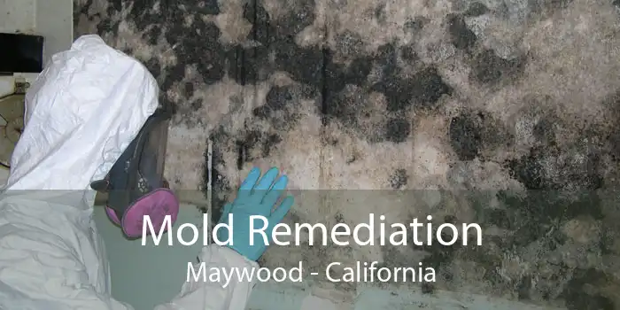 Mold Remediation Maywood - California