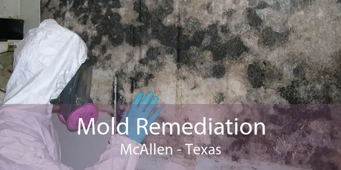 Mold Remediation McAllen - Texas