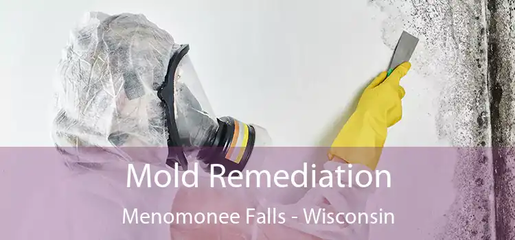 Mold Remediation Menomonee Falls - Wisconsin