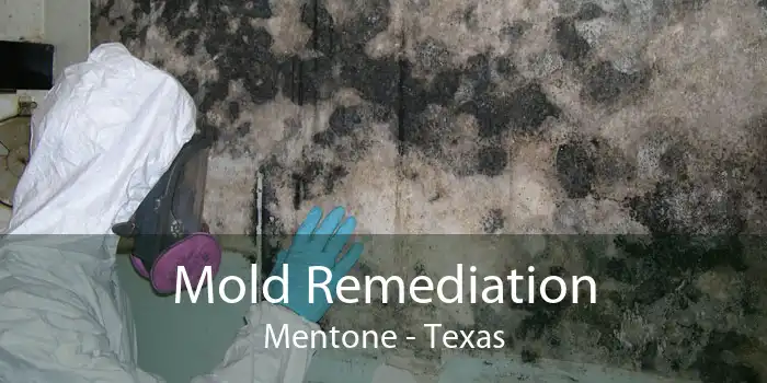 Mold Remediation Mentone - Texas