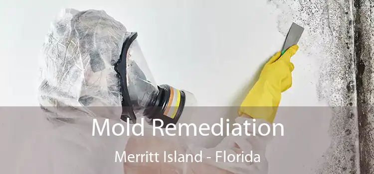 Mold Remediation Merritt Island - Florida