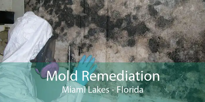 Mold Remediation Miami Lakes - Florida