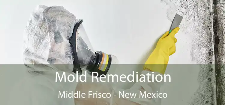 Mold Remediation Middle Frisco - New Mexico